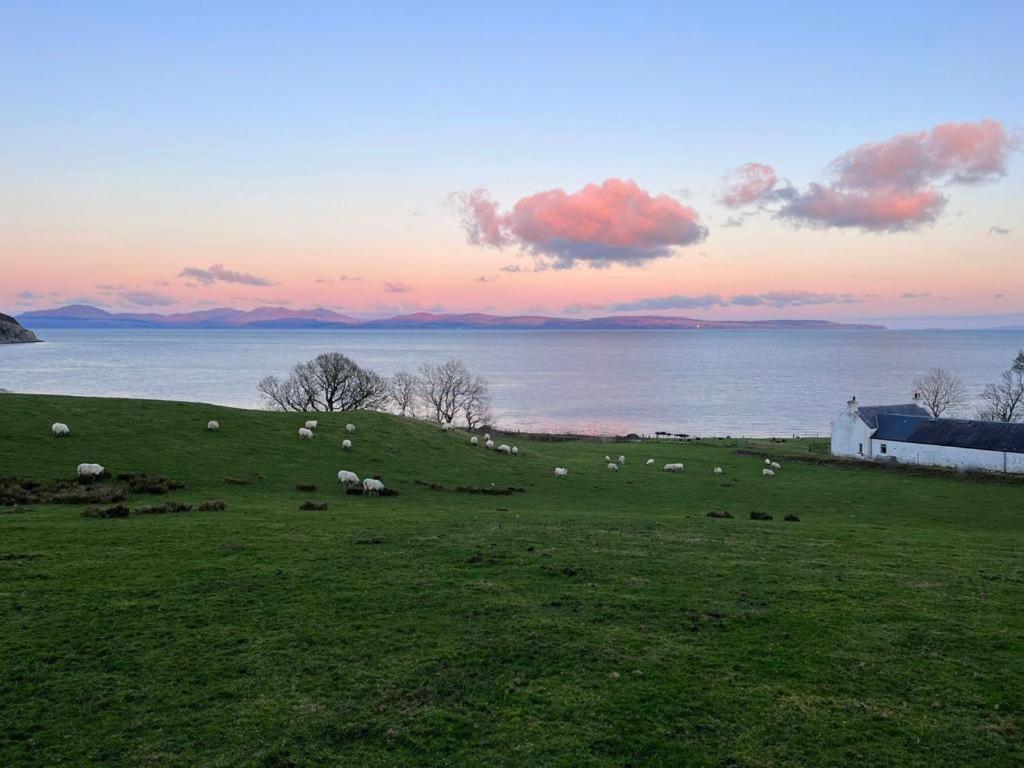 Rural Farmhouse On Kintyre, West Coast Hidden Gem Kildalloig Ngoại thất bức ảnh